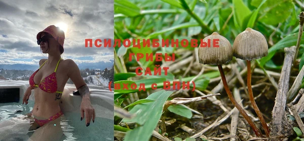 a pvp Абинск