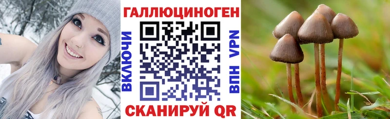 Галлюциногенные грибы Psilocybe darknet состав Иноземцево